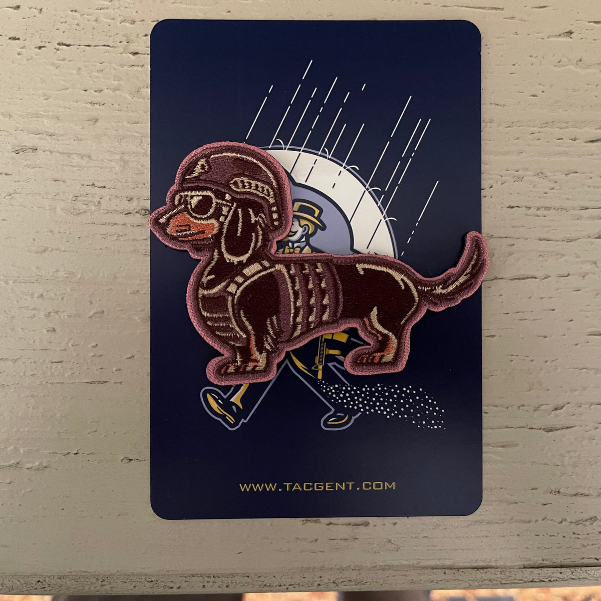 SAR DOG: TAN